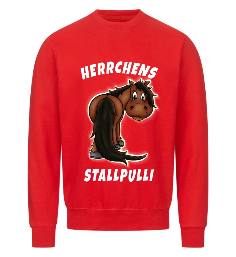 "Herrchens Stallpulli" Sweater Herren